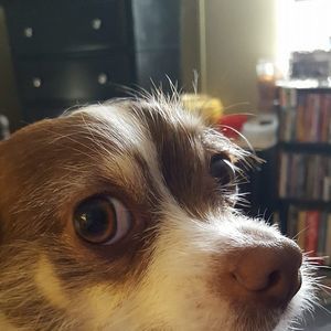 Meet your Posher, Deborah